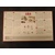 Shogi